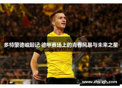 多特蒙德崛起记 德甲赛场上的青春风暴与未来之星