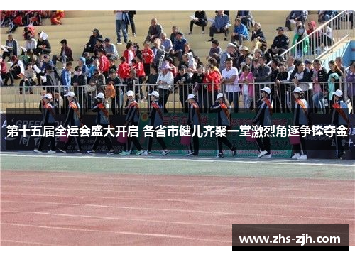 第十五届全运会盛大开启 各省市健儿齐聚一堂激烈角逐争锋夺金